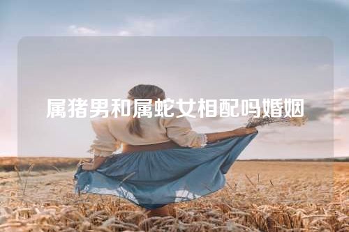 属猪男和属蛇女相配吗婚姻