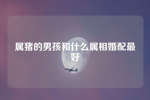 属猪的男孩和什么属相婚配最好