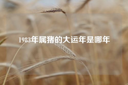 1983年属猪的大运年是哪年
