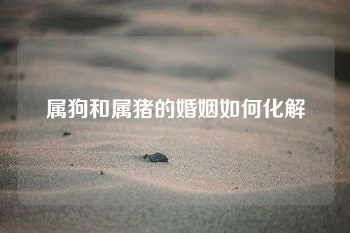 属狗和属猪的婚姻如何化解