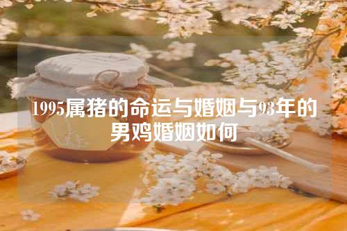 1995属猪的命运与婚姻与93年的男鸡婚姻如何