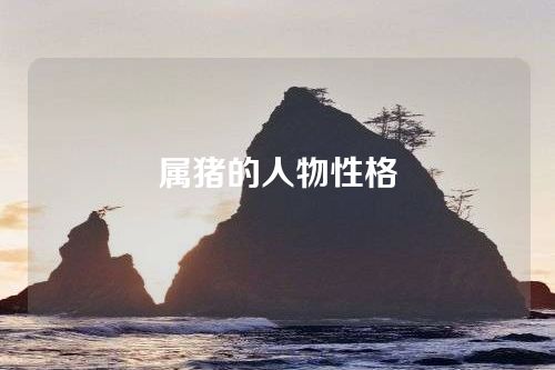 属猪的人物性格