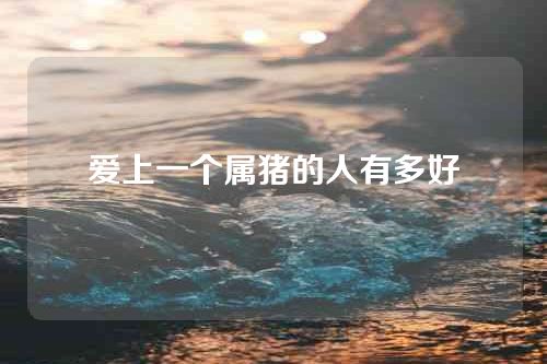 爱上一个属猪的人有多好
