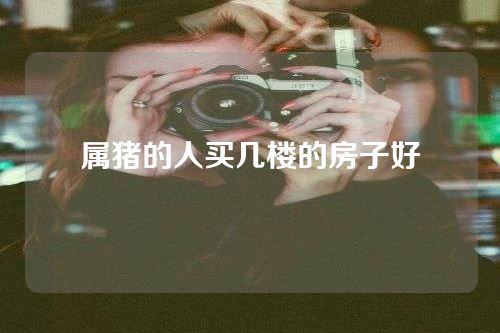 属猪的人买几楼的房子好