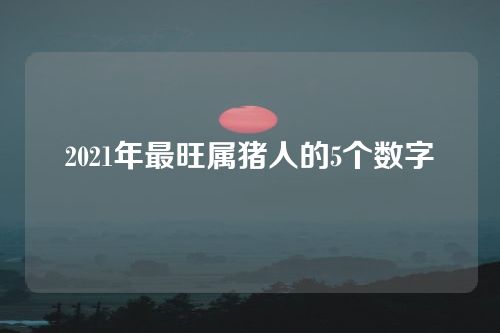 2021年最旺属猪人的5个数字