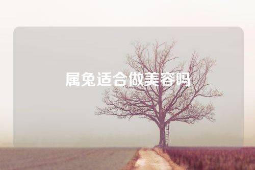 属兔适合做美容吗