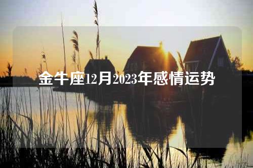 金牛座12月2023年感情运势