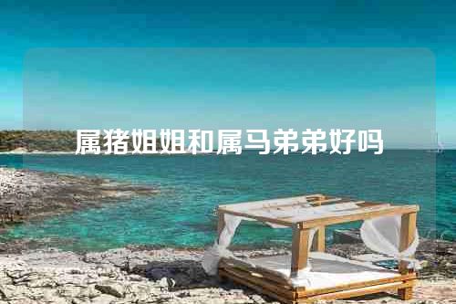 属猪姐姐和属马弟弟好吗