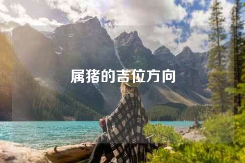 属猪的吉位方向
