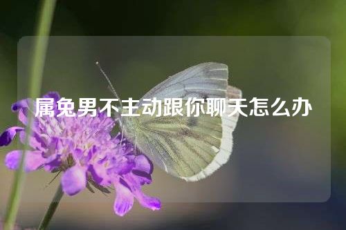 属兔男不主动跟你聊天怎么办