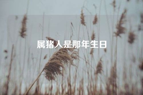 属猪人是那年生日