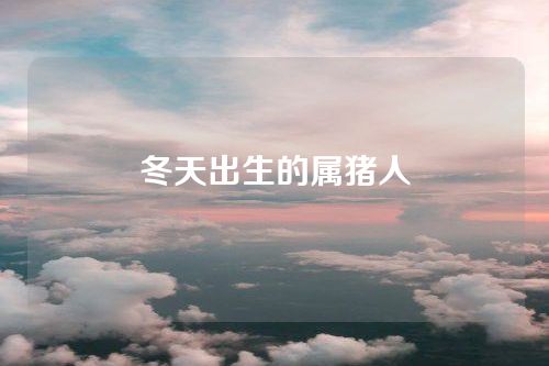 冬天出生的属猪人