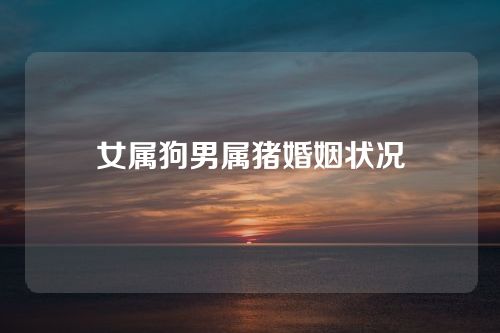 女属狗男属猪婚姻状况