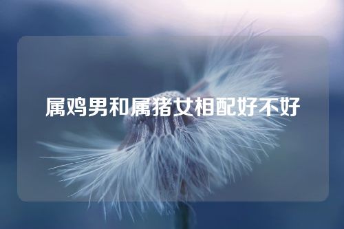 属鸡男和属猪女相配好不好