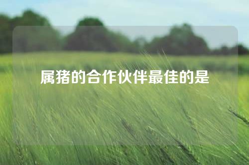 属猪的合作伙伴最佳的是