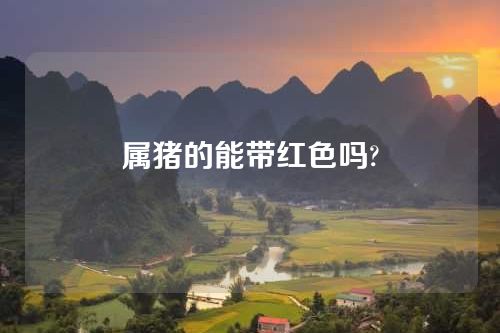 属猪的能带红色吗?