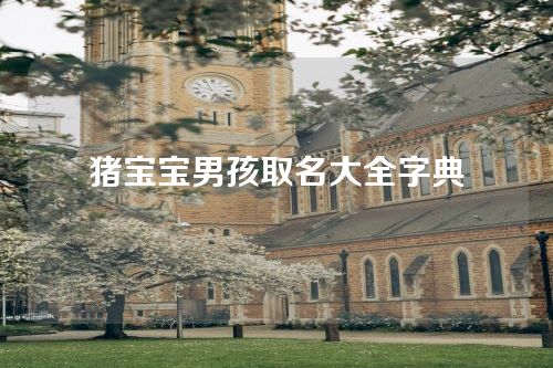 猪宝宝男孩取名大全字典