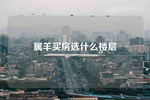 属羊买房选什么楼层