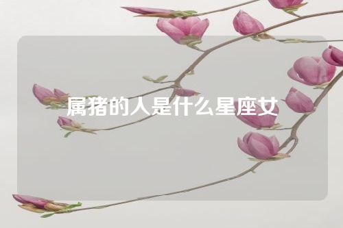 属猪的人是什么星座女