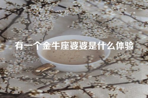 有一个金牛座婆婆是什么体验