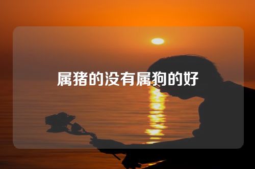 属猪的没有属狗的好