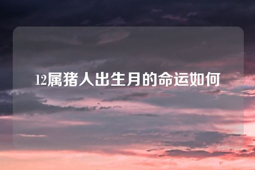 12属猪人出生月的命运如何
