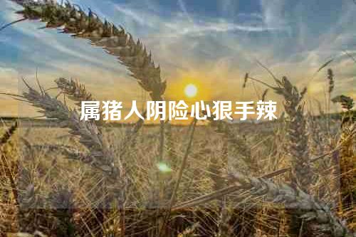 属猪人阴险心狠手辣