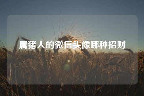 属猪人的微信头像哪种招财