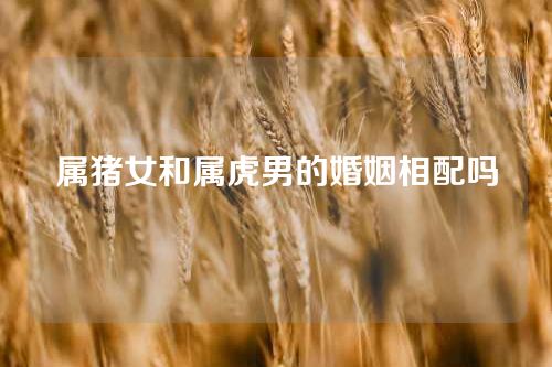 属猪女和属虎男的婚姻相配吗