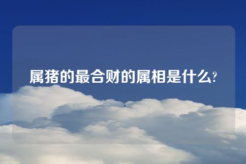 属猪的最合财的属相是什么?