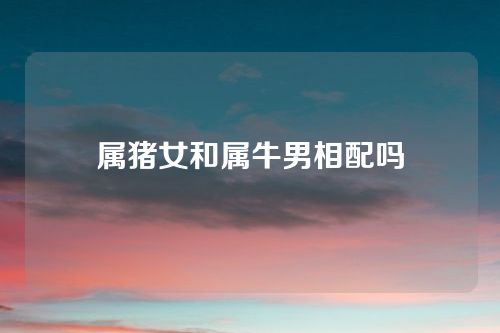 属猪女和属牛男相配吗