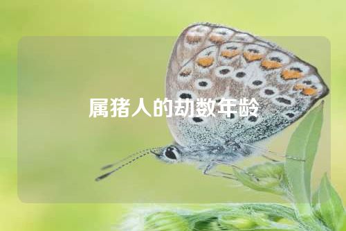 属猪人的劫数年龄