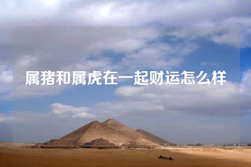 属猪和属虎在一起财运怎么样