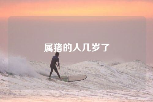 属猪的人几岁了