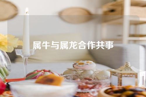 属牛与属龙合作共事
