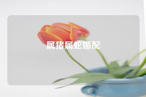 属猪属蛇婚配