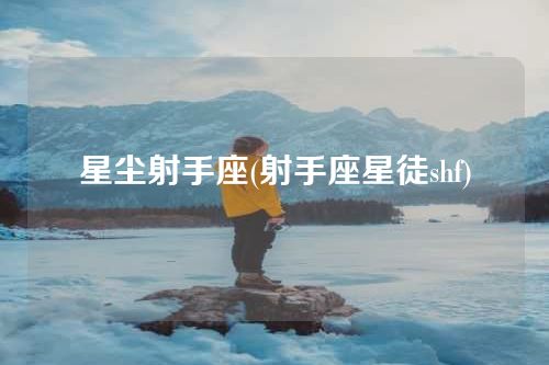 星尘射手座(射手座星徒shf)