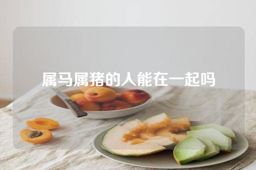属马属猪的人能在一起吗