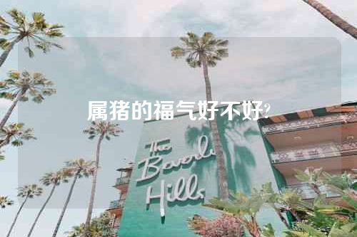 属猪的福气好不好?