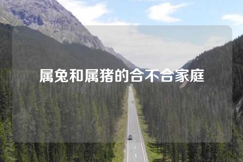 属兔和属猪的合不合家庭