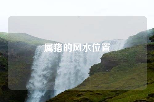 属猪的风水位置