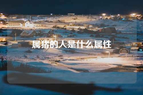 属猪的人是什么属性