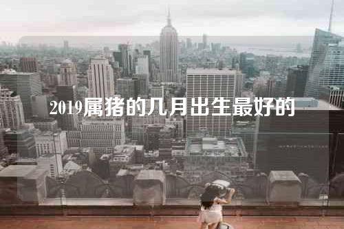 2019属猪的几月出生最好的