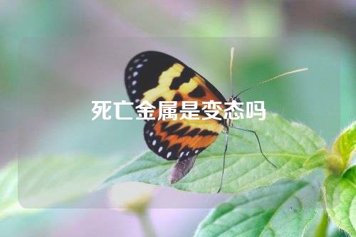 死亡金属是变态吗