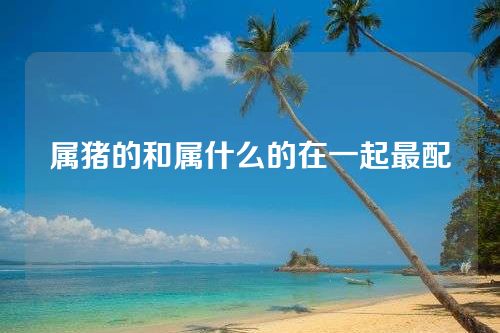属猪的和属什么的在一起最配