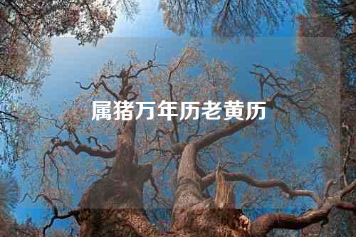 属猪万年历老黄历