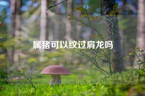 属猪可以纹过肩龙吗