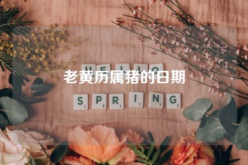 老黄历属猪的日期
