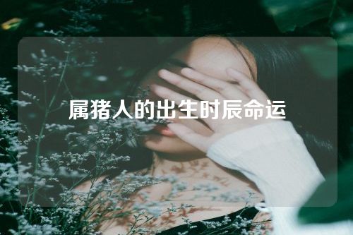 属猪人的出生时辰命运
