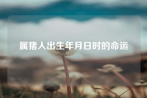 属猪人出生年月日时的命运